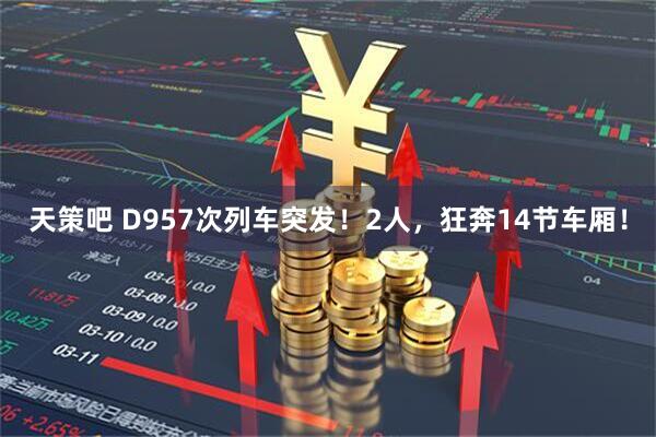 天策吧 D957次列车突发！2人，狂奔14节车厢！