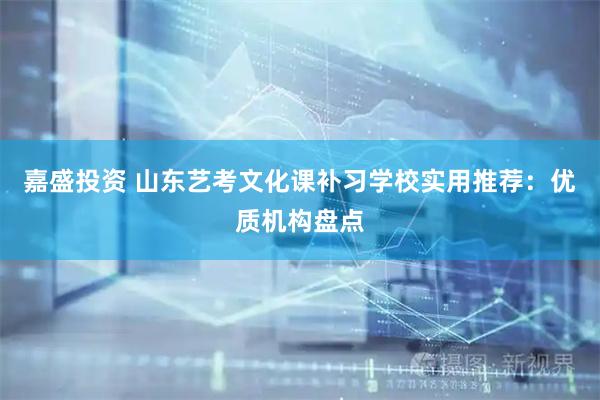 嘉盛投资 山东艺考文化课补习学校实用推荐：优质机构盘点